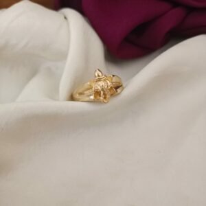 pure impon vinayagar gents ring copy