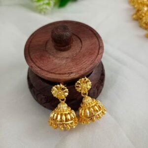 img 20260327 wa0024.jpg